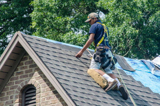 Residential Roof Replacement in Lindenhurst, IL