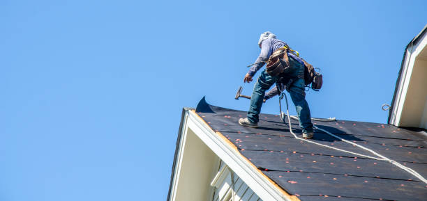 Best Roof Waterproofing Services  in Lindenhurst, IL